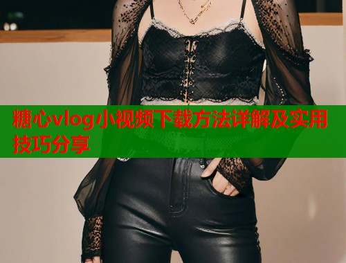 糖心vlog小视频下载方法详解及实用技巧分享